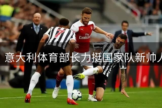 意大利体育部长力挺国家队新帅人选：团结是最佳选择