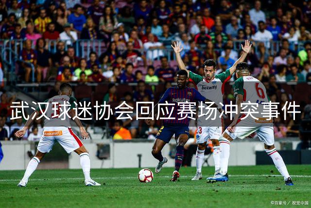 武汉球迷协会回应赛场冲突事件