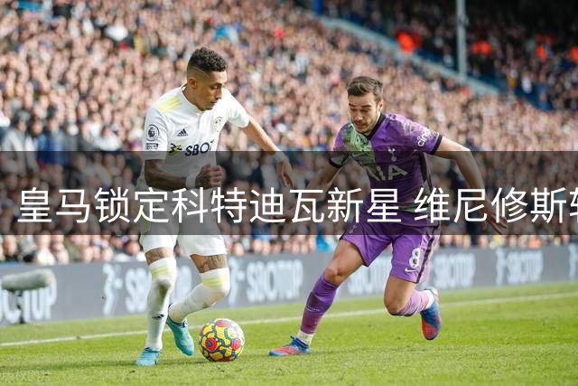 皇马锁定科特迪瓦新星 维尼修斯转会疑云再起